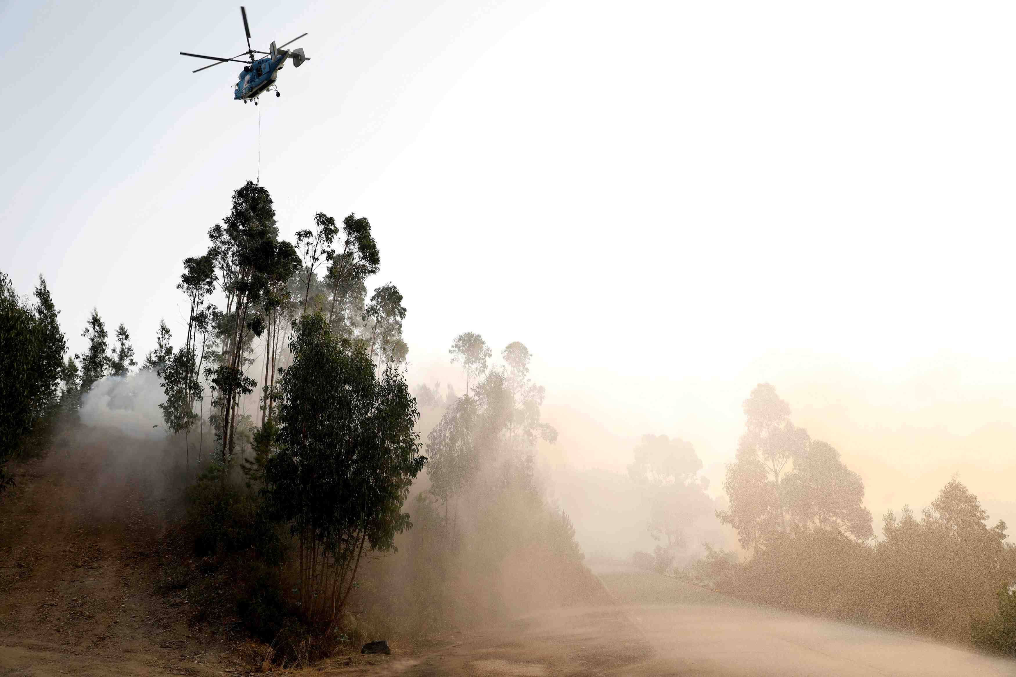 Le portugal passe a la vitesse superieure contre l'incendie dans l'algarve