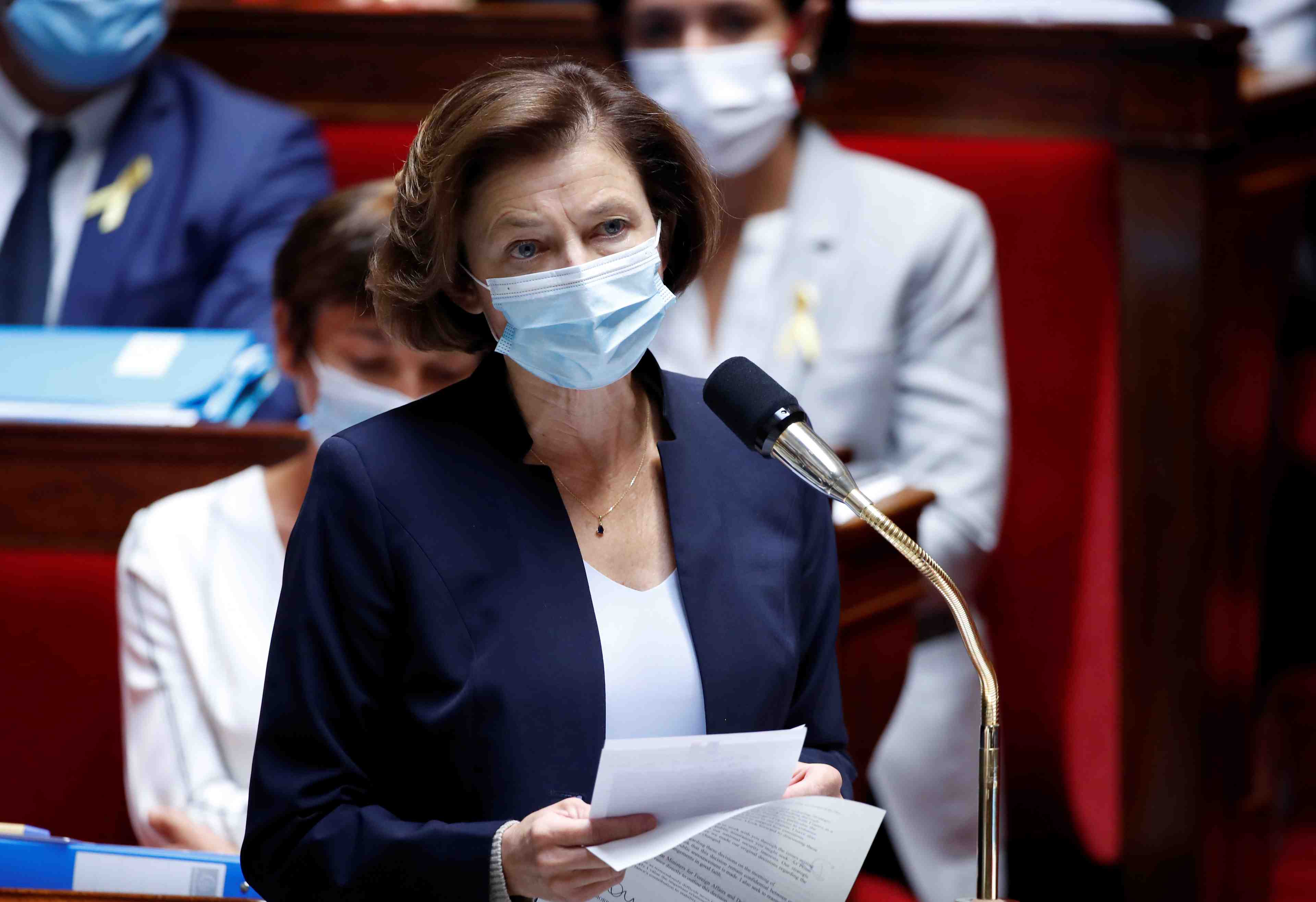 Parly accuse le mali de "s'essuyer les pieds sur le sang des soldats francais"