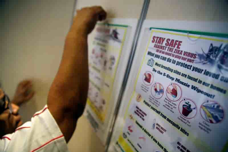 Le lien entre zika malformations est vraisemblable selon l’oms