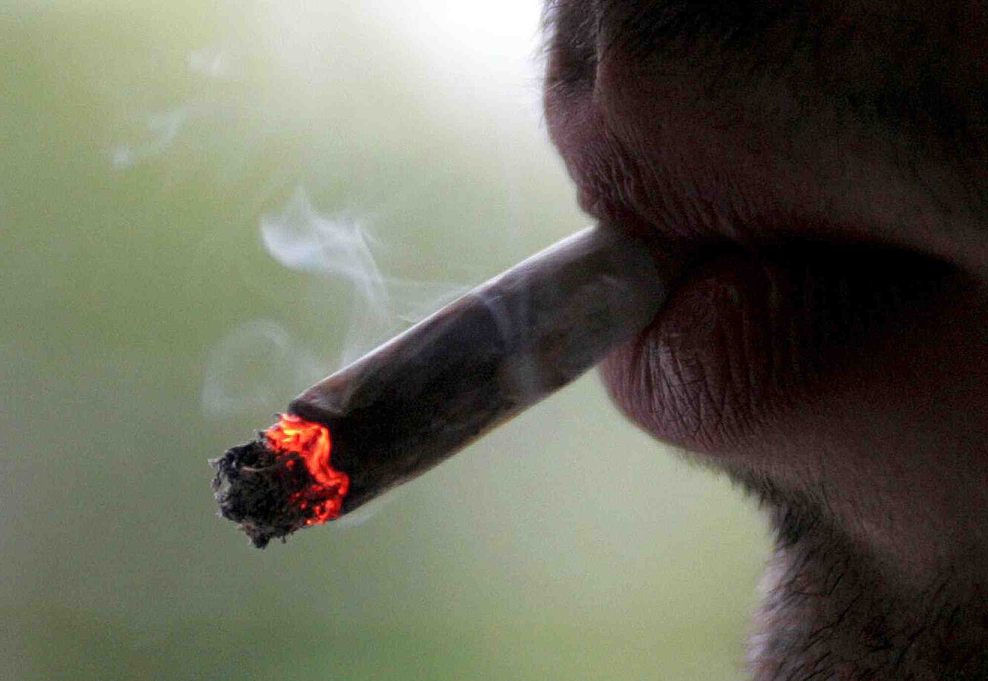 tabac, cigarettiers, lobby, santé publique, maladies respiratoires, cancer du poumon, paquet neutre, taux de nicotine, goudron, monoxyde de carbone,