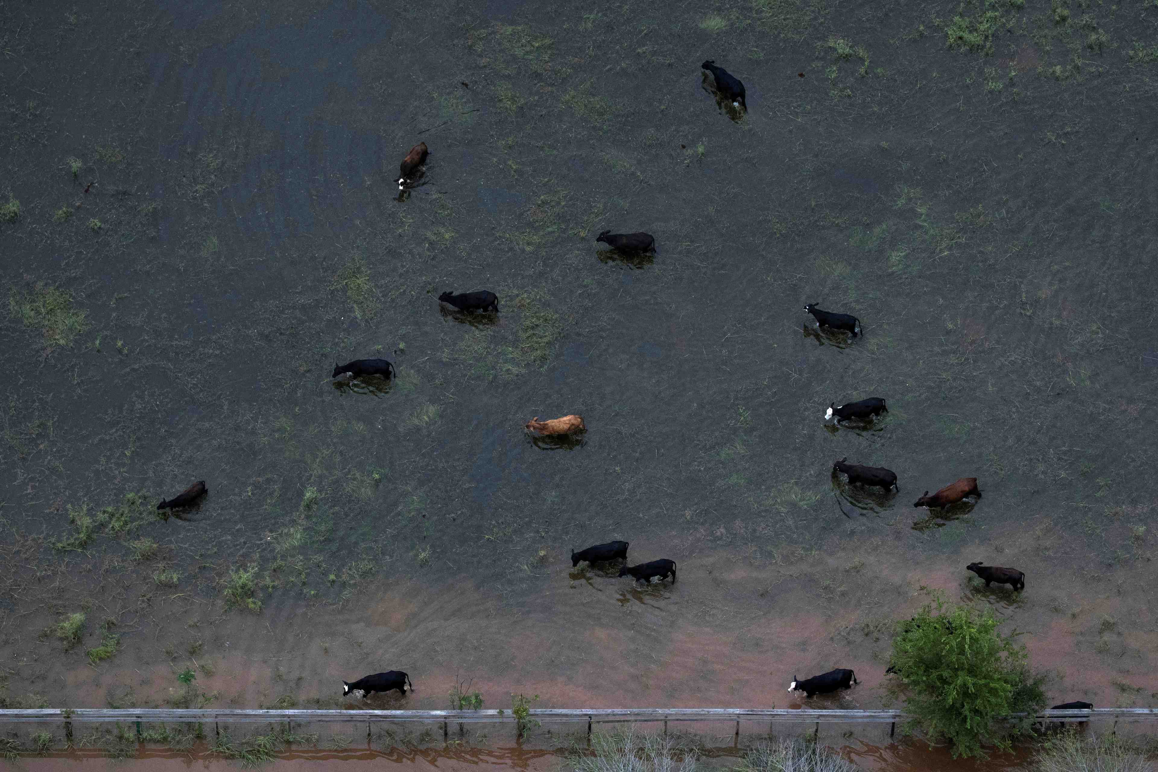 Harvey faiblit en louisiane apres avoir ravage le texas