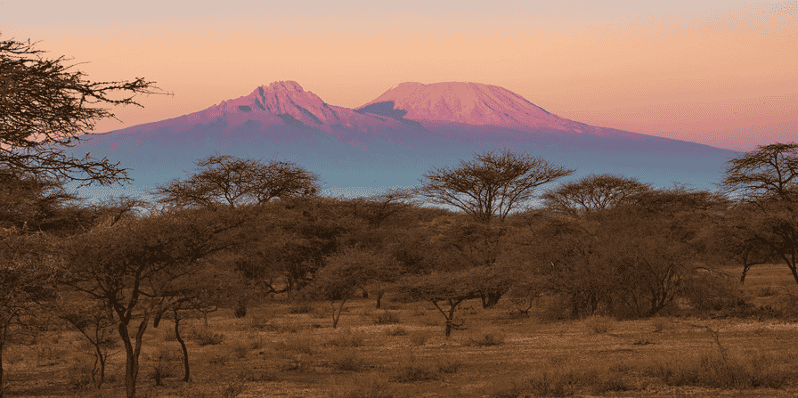 ALTDE_Biocarburant, le Kenya mise sur la noix de croton savane tourisme