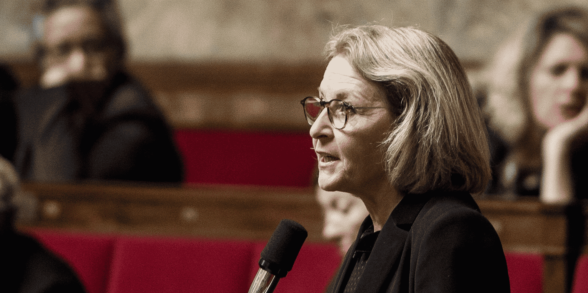 Laure de La Raudière