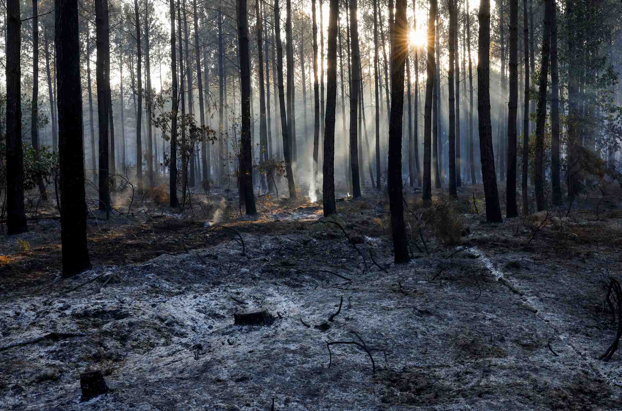 France: la pluie apporte un leger repit sur le front des incendies
