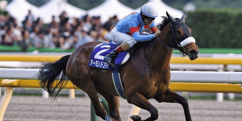 Christophe Lemaire monte Almond Eye (meilleur cheval japonais) à l’hippodrome de Tokyo, après sa victoire dans la Japan cup