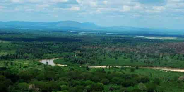 barrage tanzanie