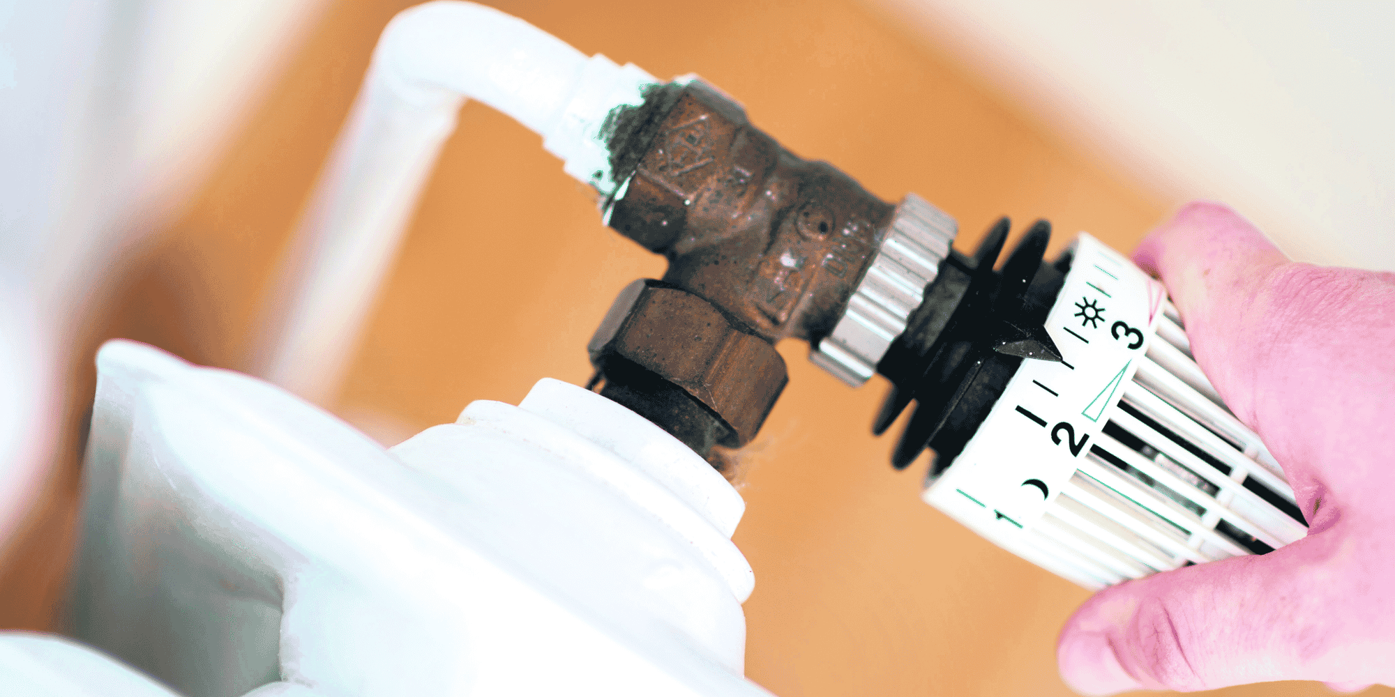 Environ 40.000 rénovations permettant d'amener un logement au niveau "basse consommation" (étiquette 5) ont été menées en 2018.