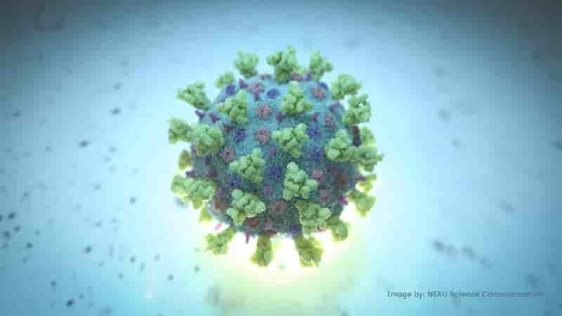 Un traitement contre le vih inefficace contre le nouveau coronavirus