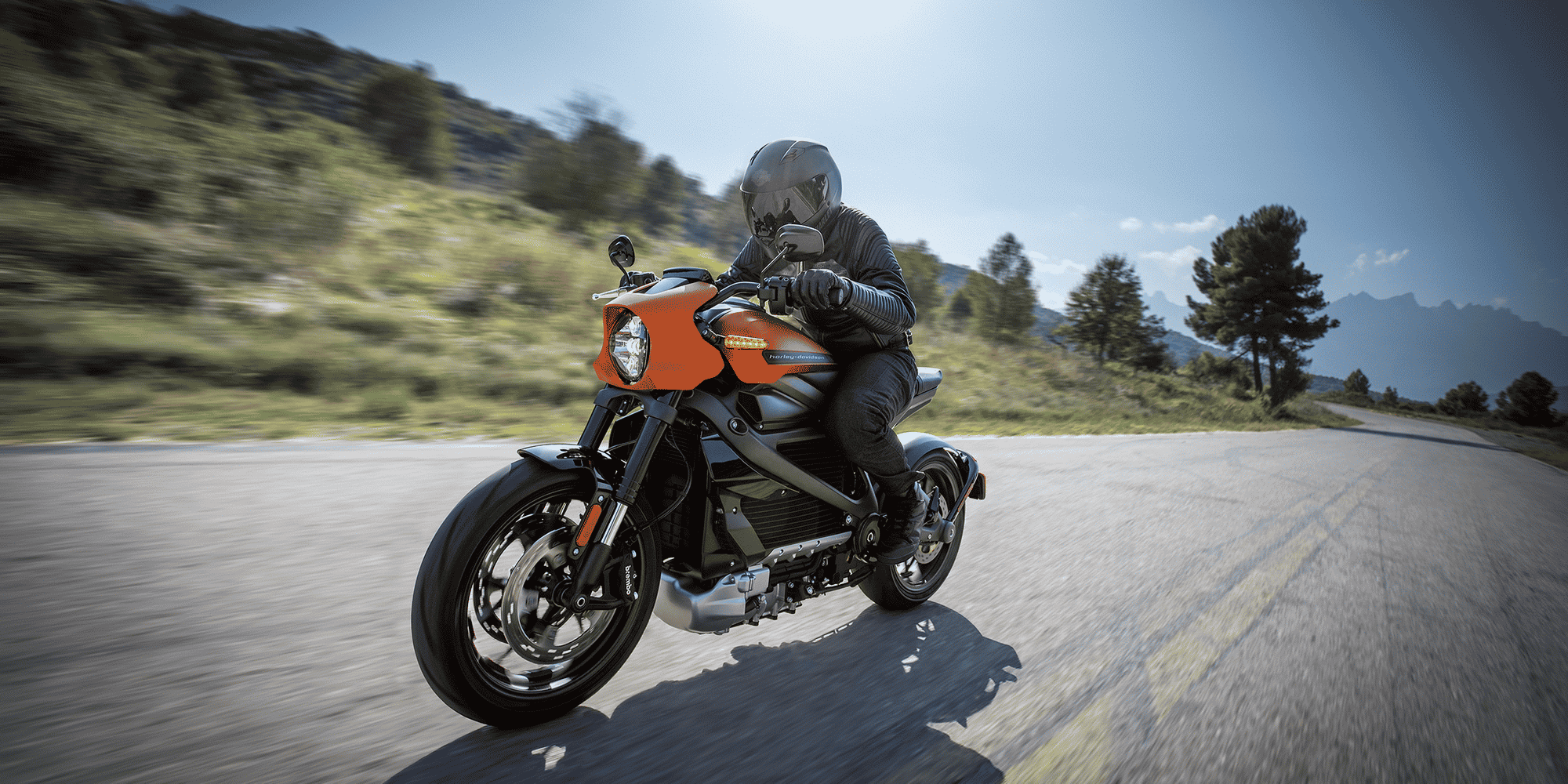 La Harley-Davidson LiveWire.