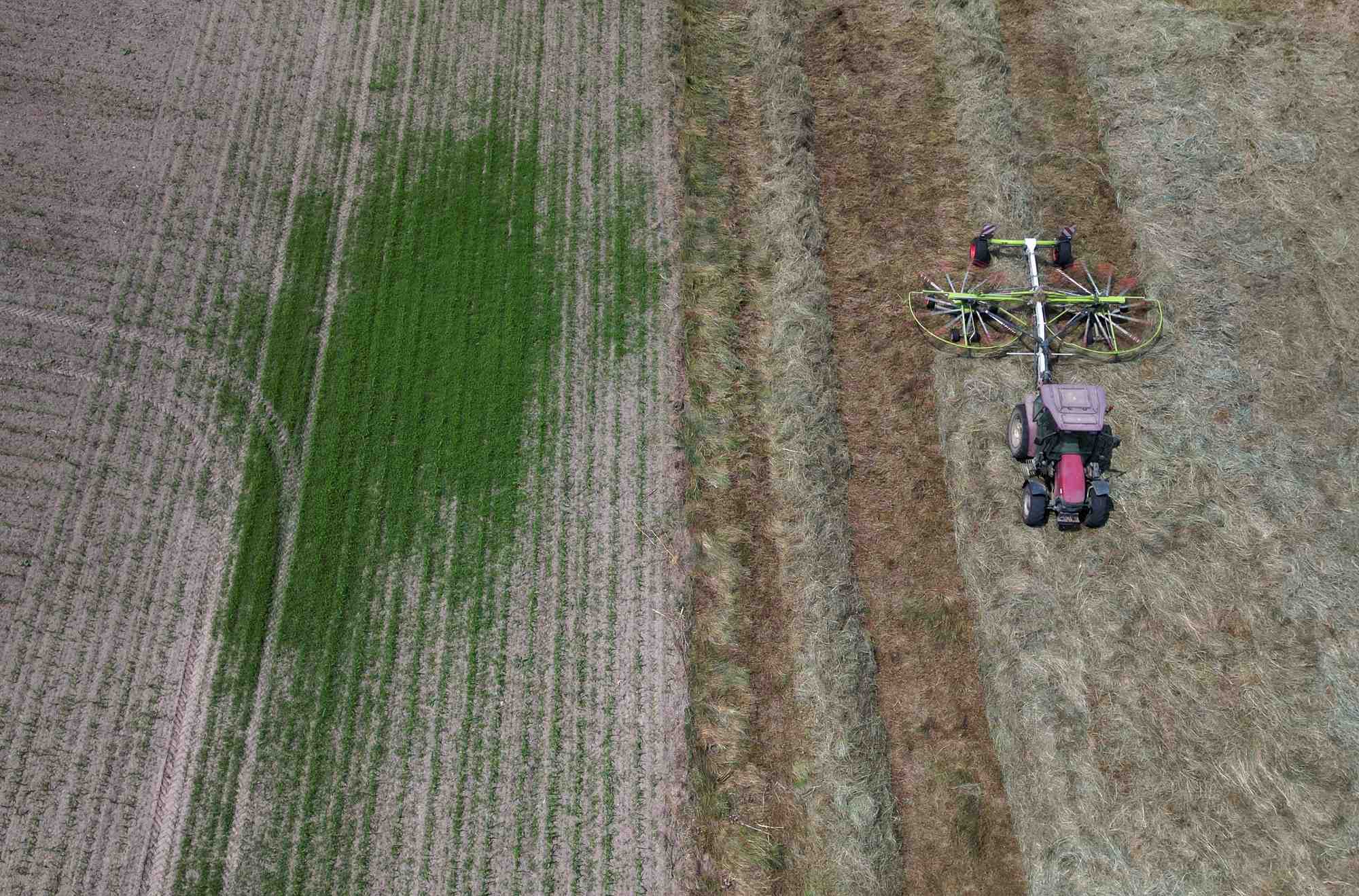 Un agriculteur conduit son tracteur a vieillevigne