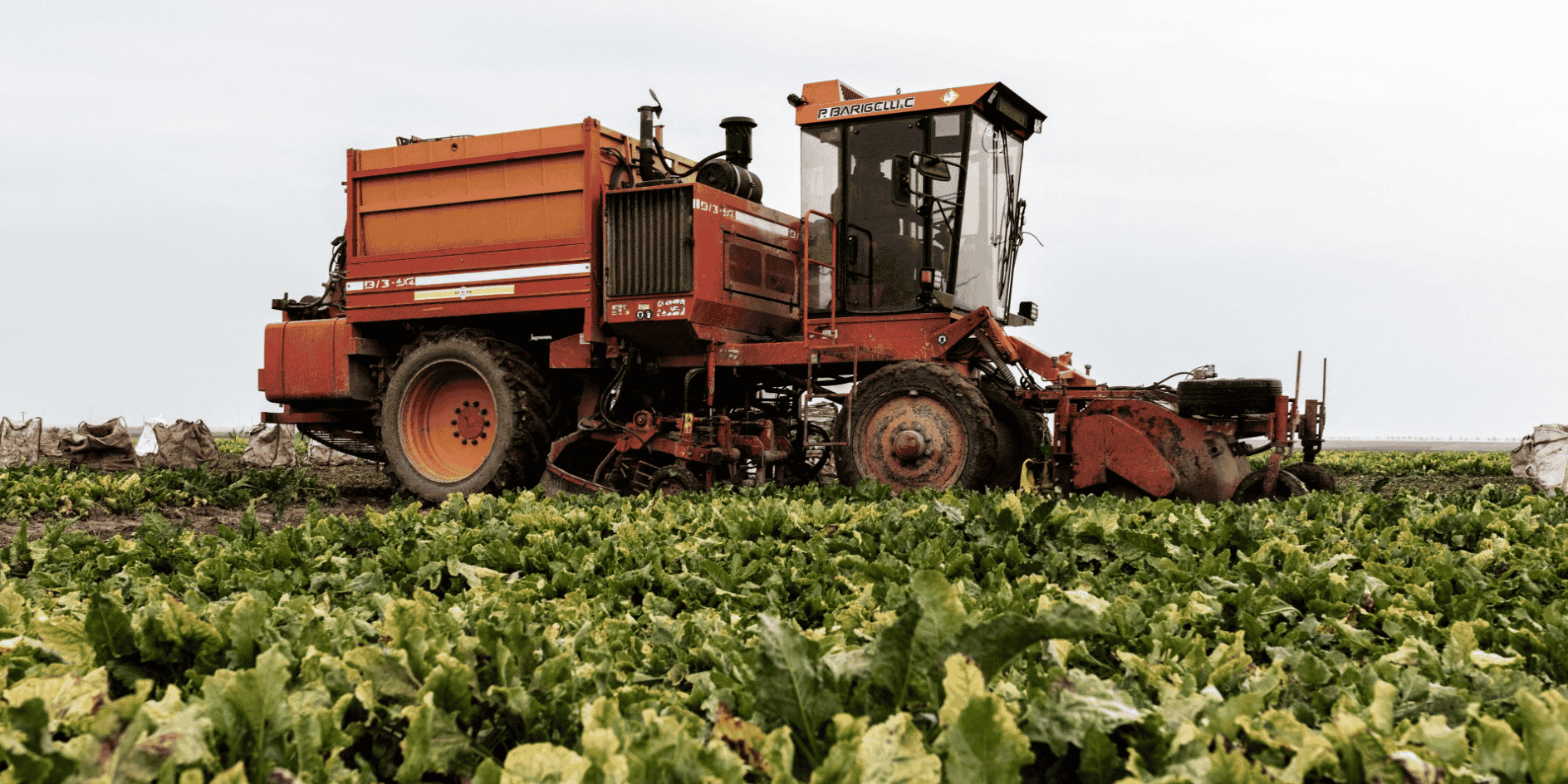 Dans un monde vieillissant qui compte de moins en moins de chefs d'exploitation, 60% des candidats à l'installation en agriculture sont non issus du monde agricole et n'ont donc ni terre ni capital matériel, selon les Chambres d'agriculture.