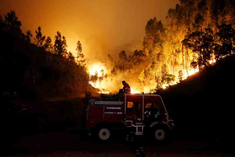 Pres de 60 morts dans le feu de foret au portugal