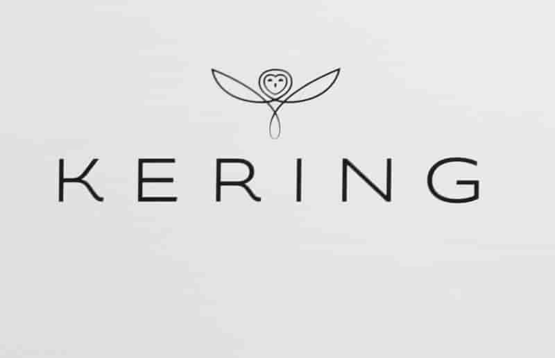 Kering en tete du sbf 120 a la mi-seance de la bourse de paris