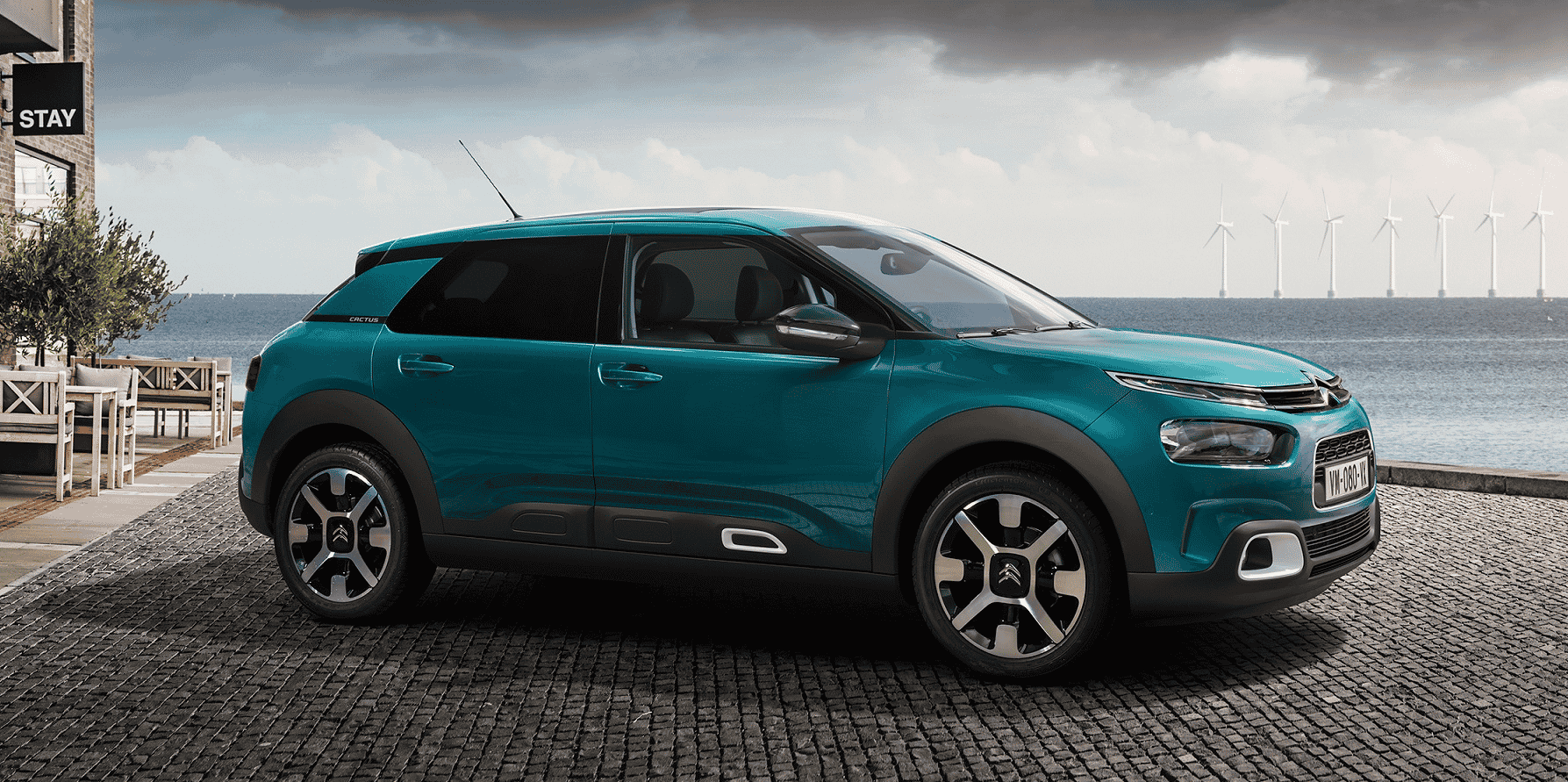 C4 Cactus