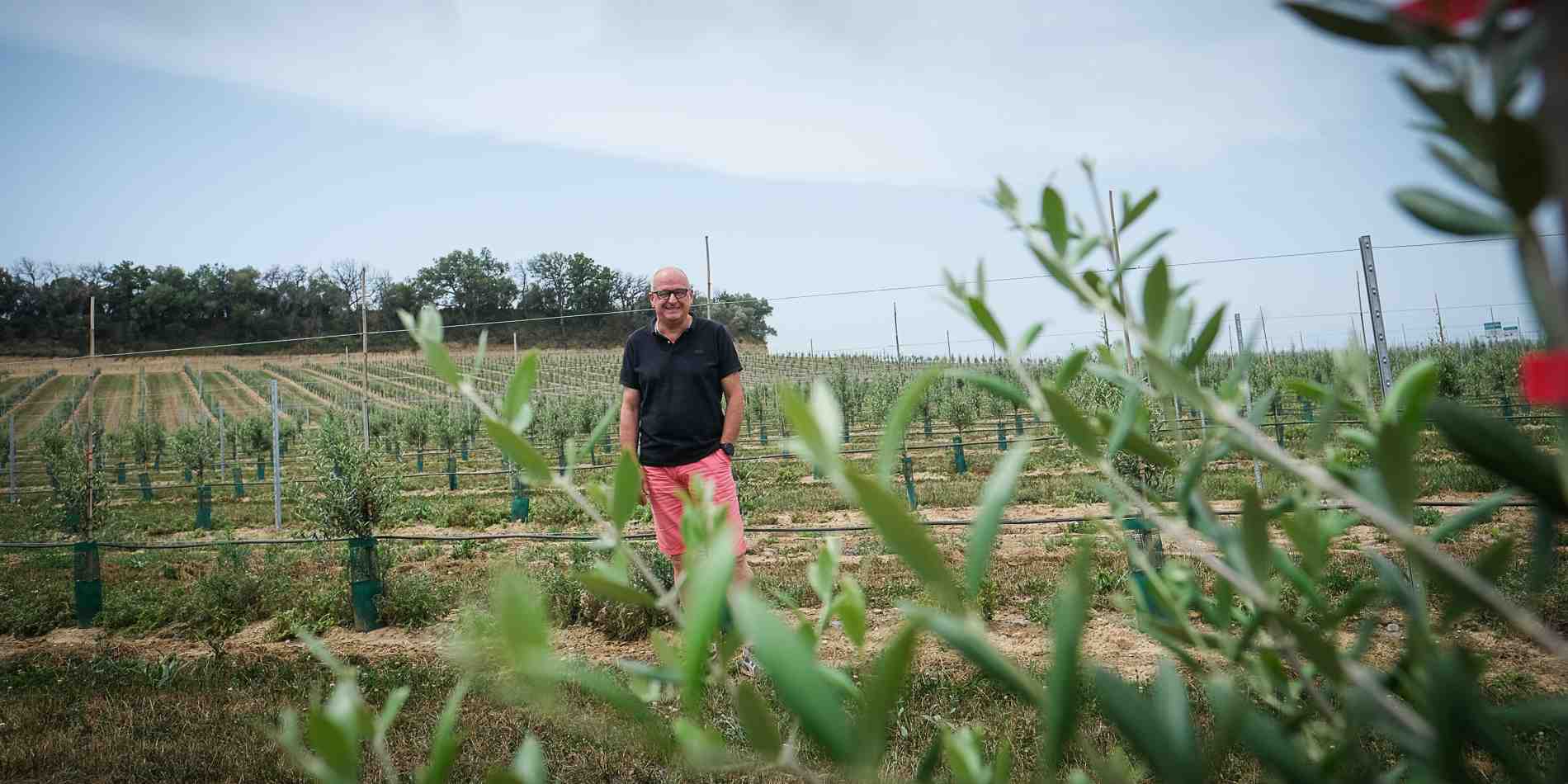 Ghislain Gaubert a récemment racheté l'exploitation du Mas Saint-Barbe pour y développer des oliveraies conduites en haie fruitière et construire un moulin à huile à grande capacité.