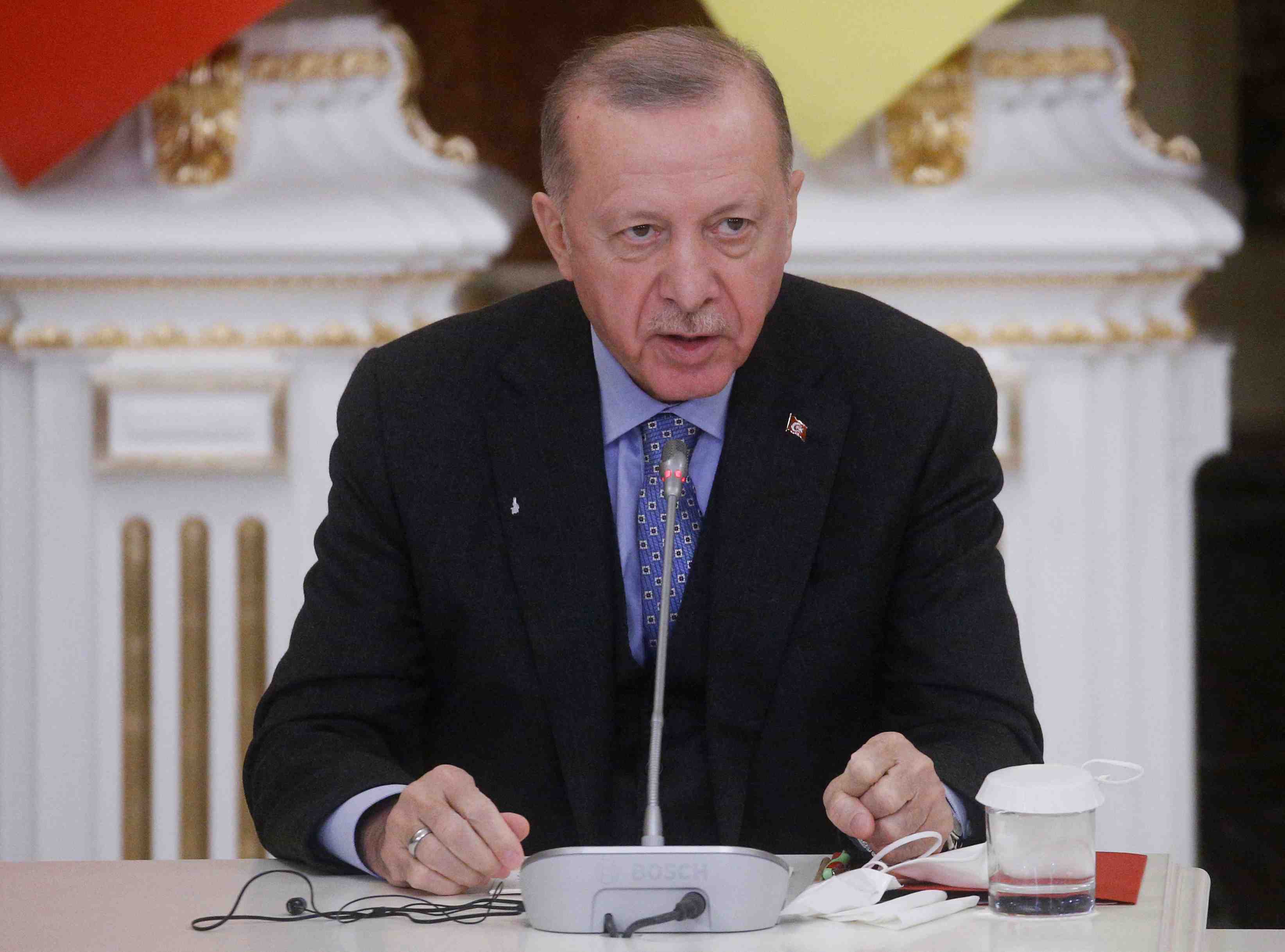 Erdogan propose sa mediation entre l'ukraine et la russie