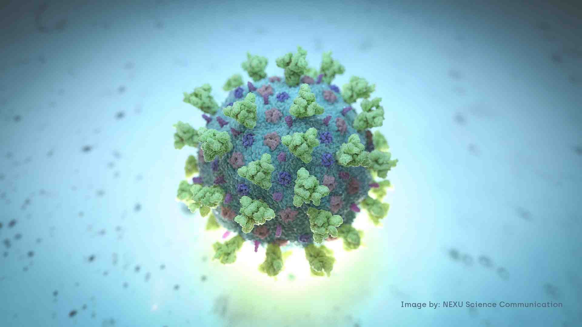 Coronavirus: resultats positifs pour le traitement par anticorps d'astrazeneca