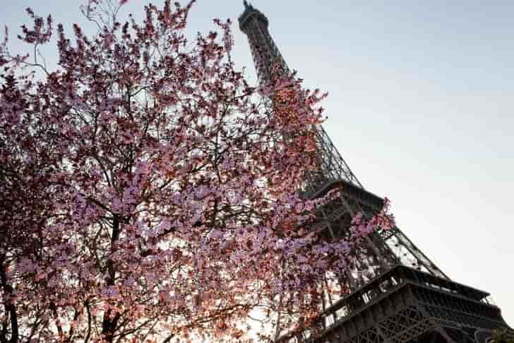 Paris officiellement candidate aux jo de 2024