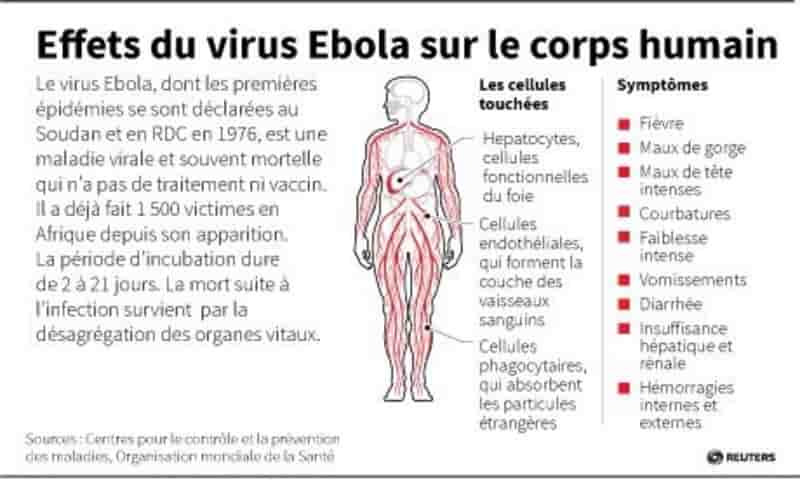 Premiers cas mortels de fièvre Ebola en Sierra Leone