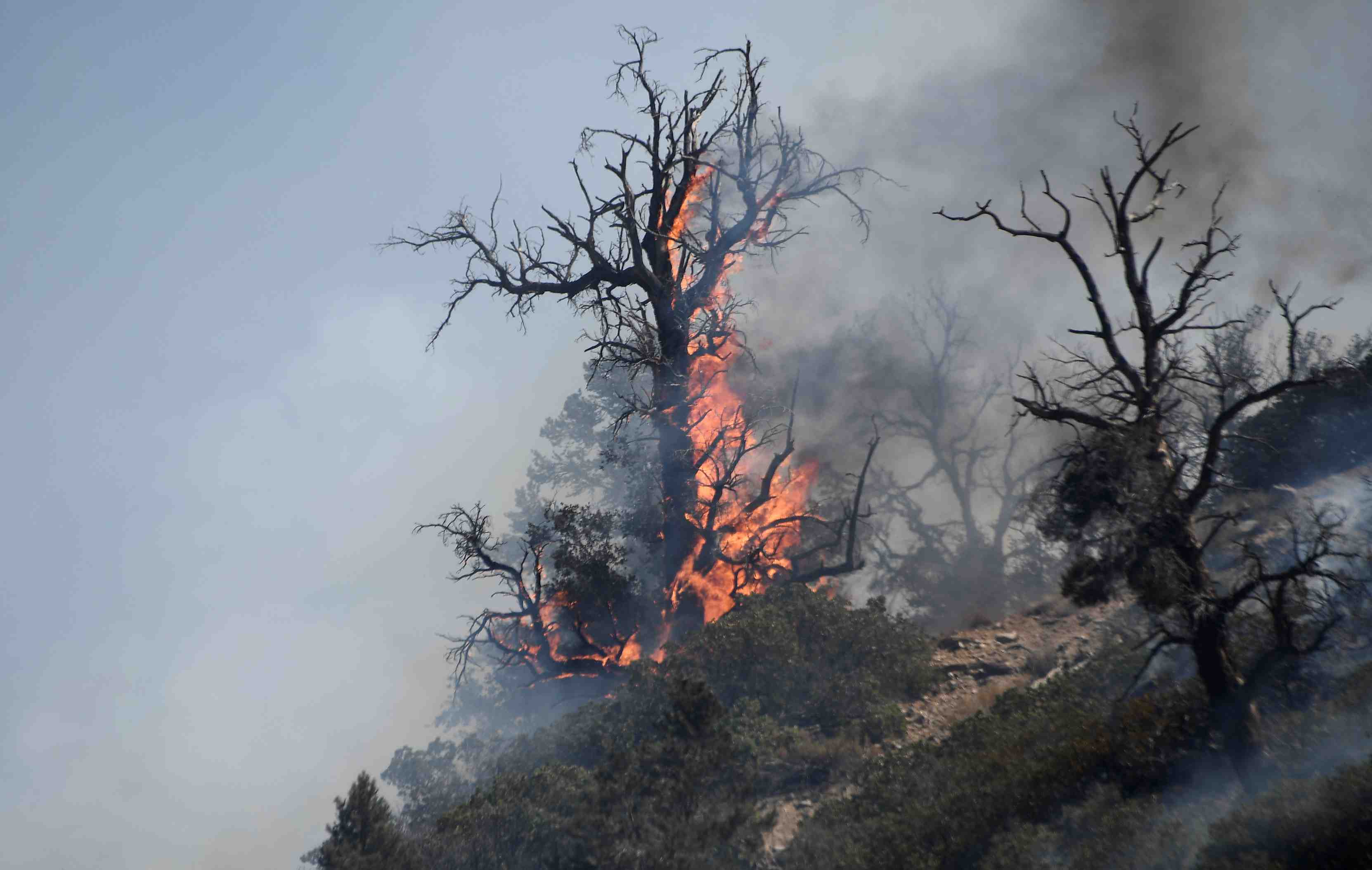 Progres dans la lutte contre l'incendie en californie