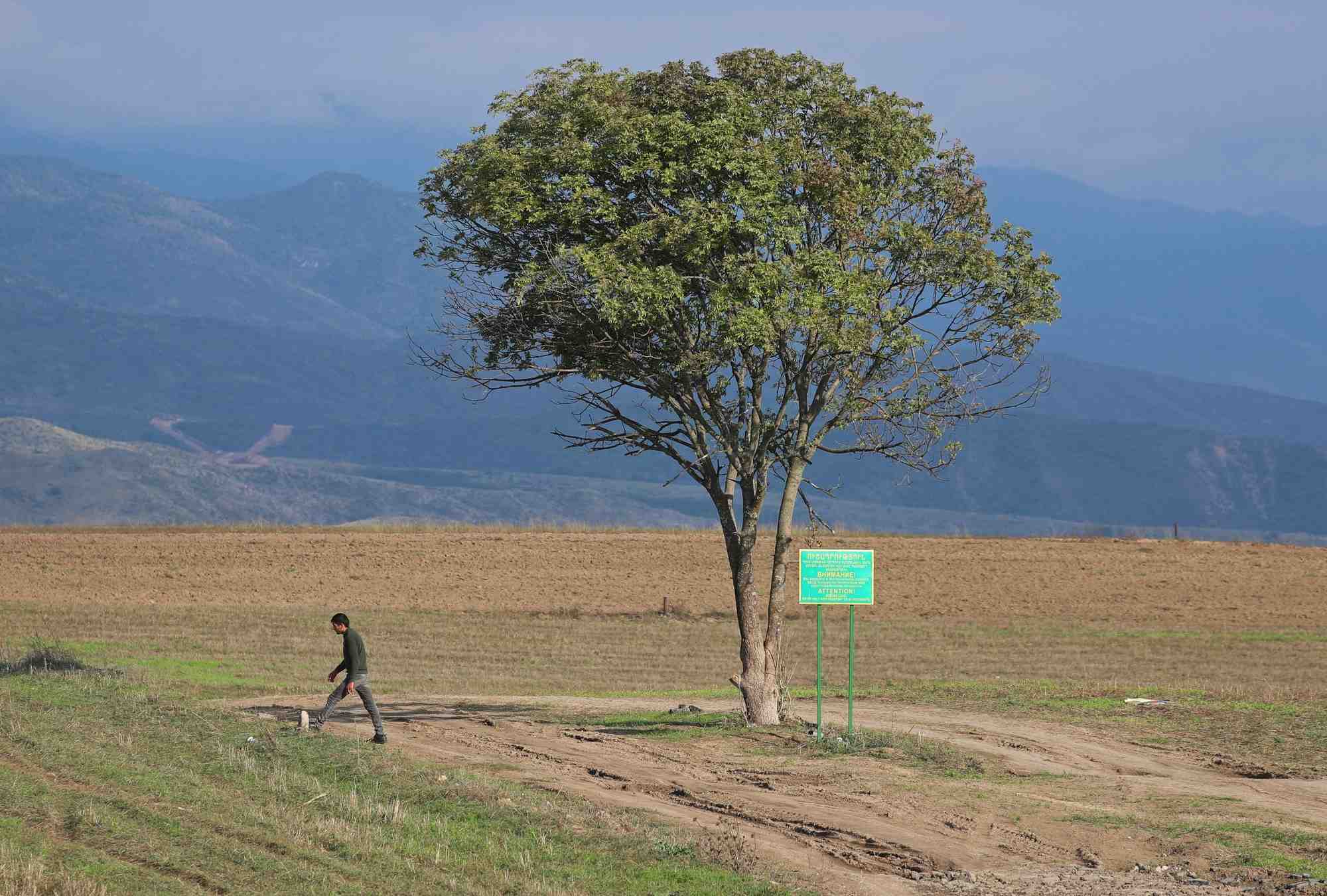 Un arbre sur la route menant a la region du haut-karabakh