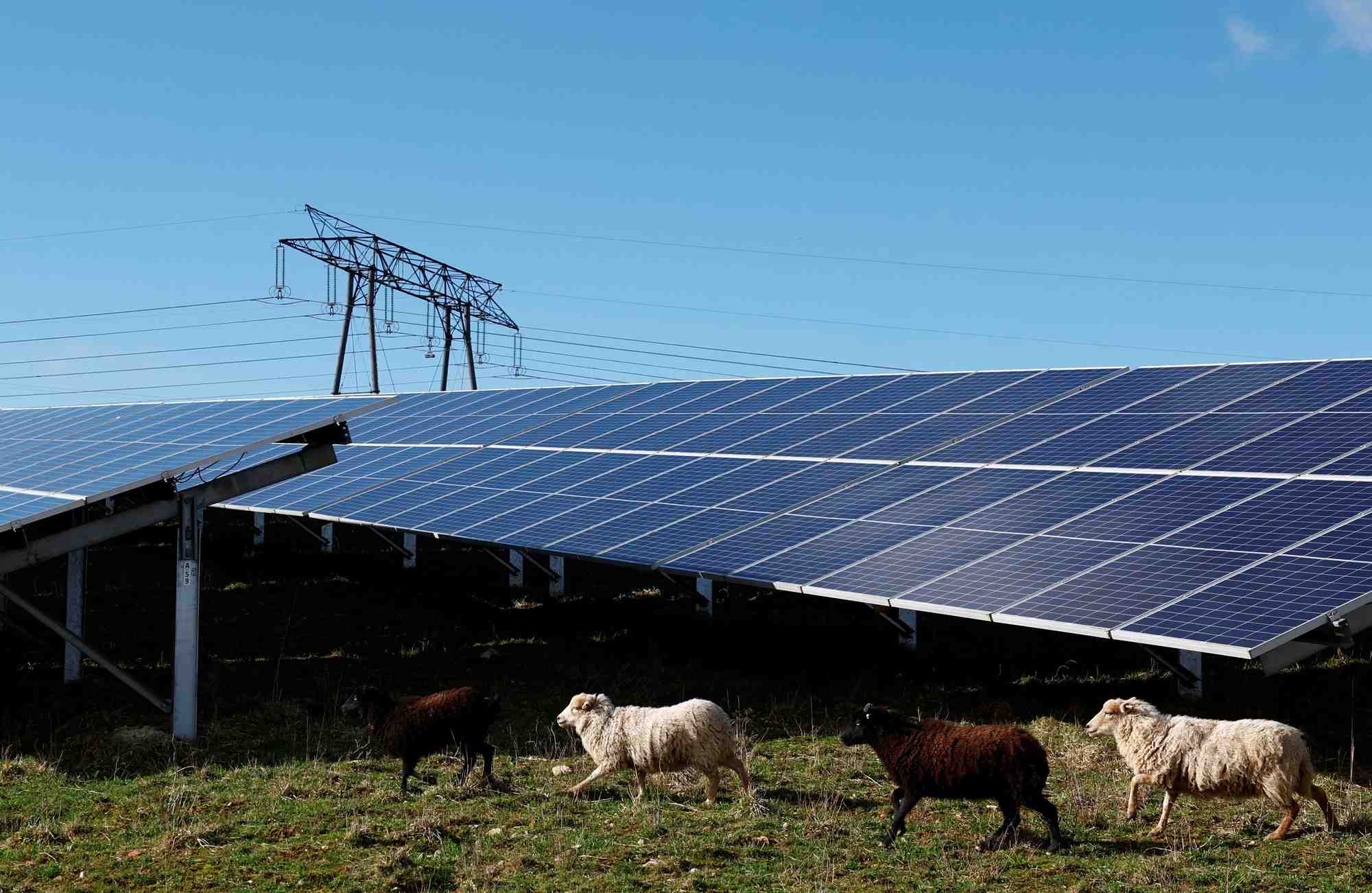 Photo d'un troupeau de moutons qui paissent pres des panneaux solaires et des pylones de lignes electriques a haute tension du parc photovoltaique installe par engie a marcoussis pres de paris