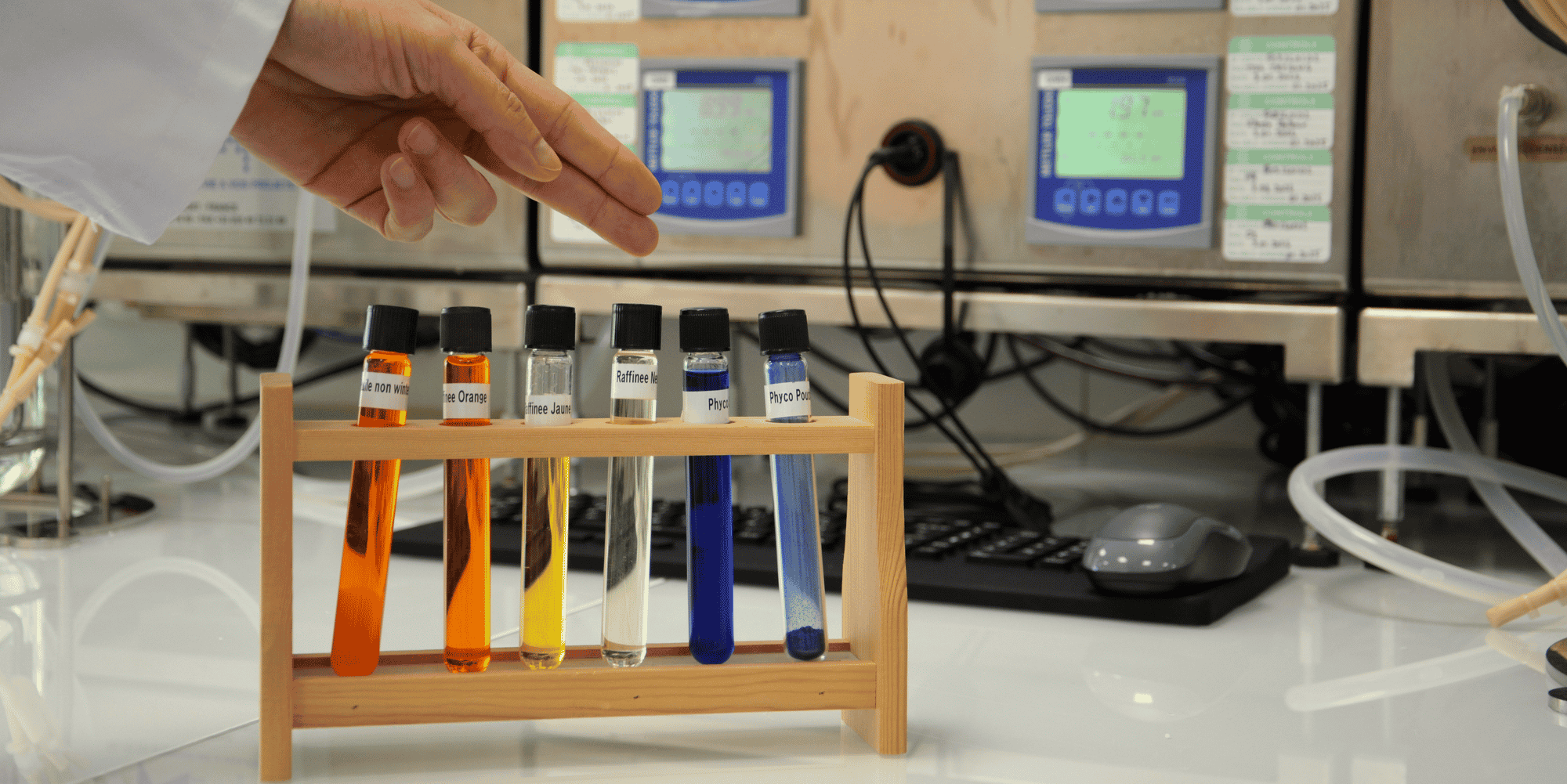 Parmi leurs diverses propriétés, certaines microalgues disposent d'un fort pouvoir colorant.
