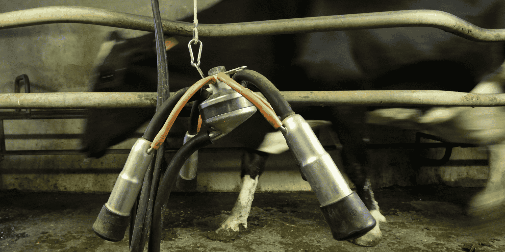 Au moins 15 pays ont formellement demandé à Bruxelles de relever de 20.000 à 50.000 euros (par exploitation, sur trois ans) le plafond d'aides baptisées « de minimis » - Photo d'illustration.