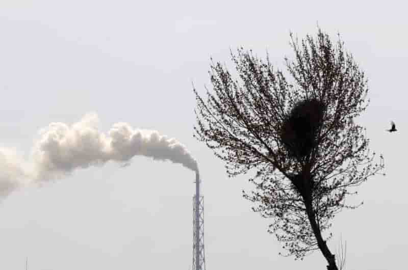 Climat: appel en faveur de l'objectif "net-zero" en 2050
