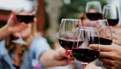 dégustation vin