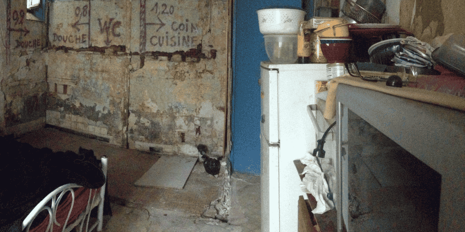 La Fondation Abbé Pierre lutte depuis de longues années contre les marchands de sommeil, propriétaires sans scrupules qui louent des logements dans des conditions indignes. Elle vient de remporter une nouvelle victoire à Montpellier.