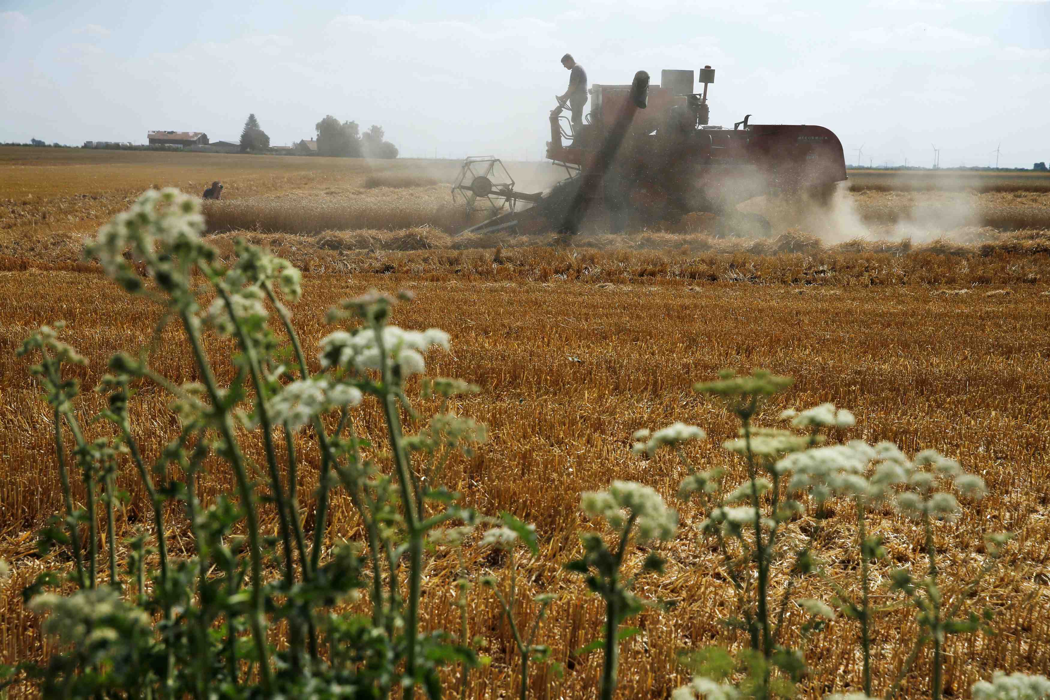 La france veut faucher les zones protegees pour aider les agriculteurs