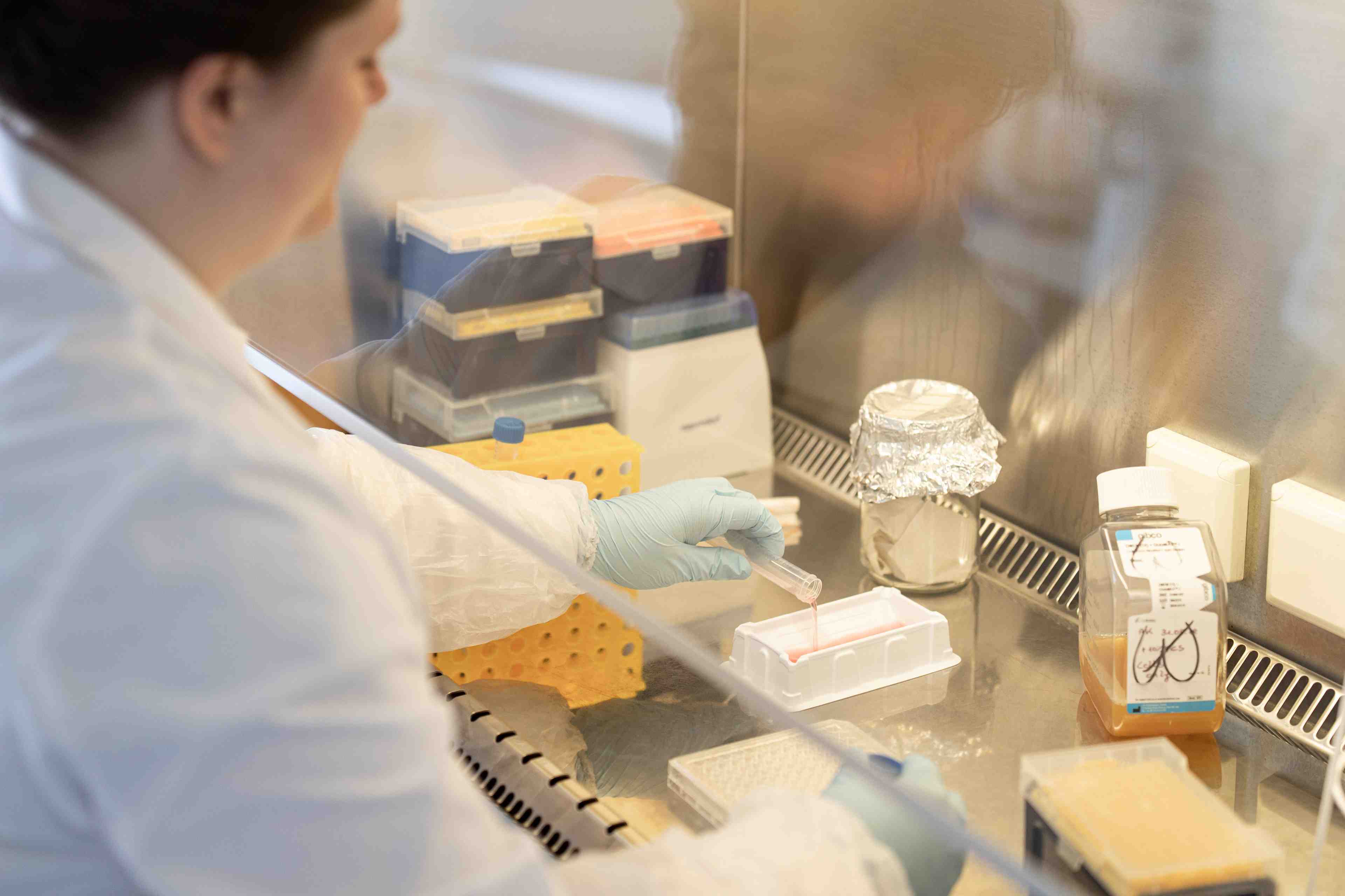 Coronavirus: merck abandonne ses vaccins, pas assez efficaces
