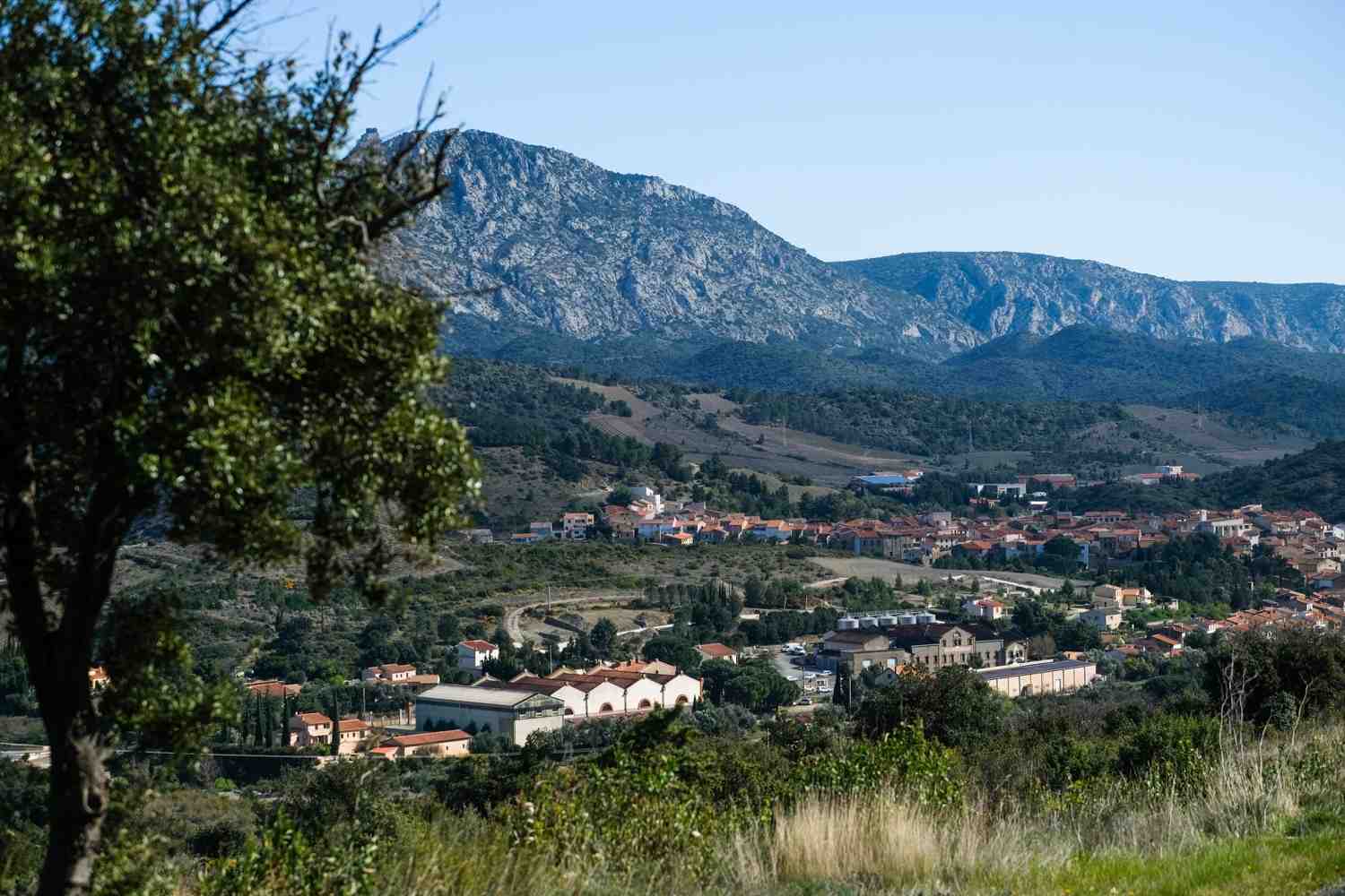 La ville de Maury, dans les Pyrénées-Orientales , multiplie les initiatives vertueuses autour de la ressource (rare et précieuse) en eau.