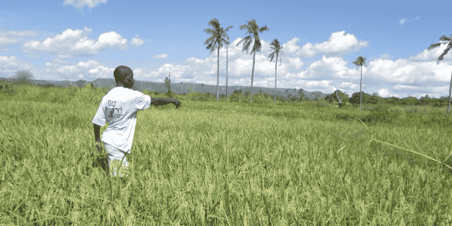 tanzanie fermier agriculture foncier