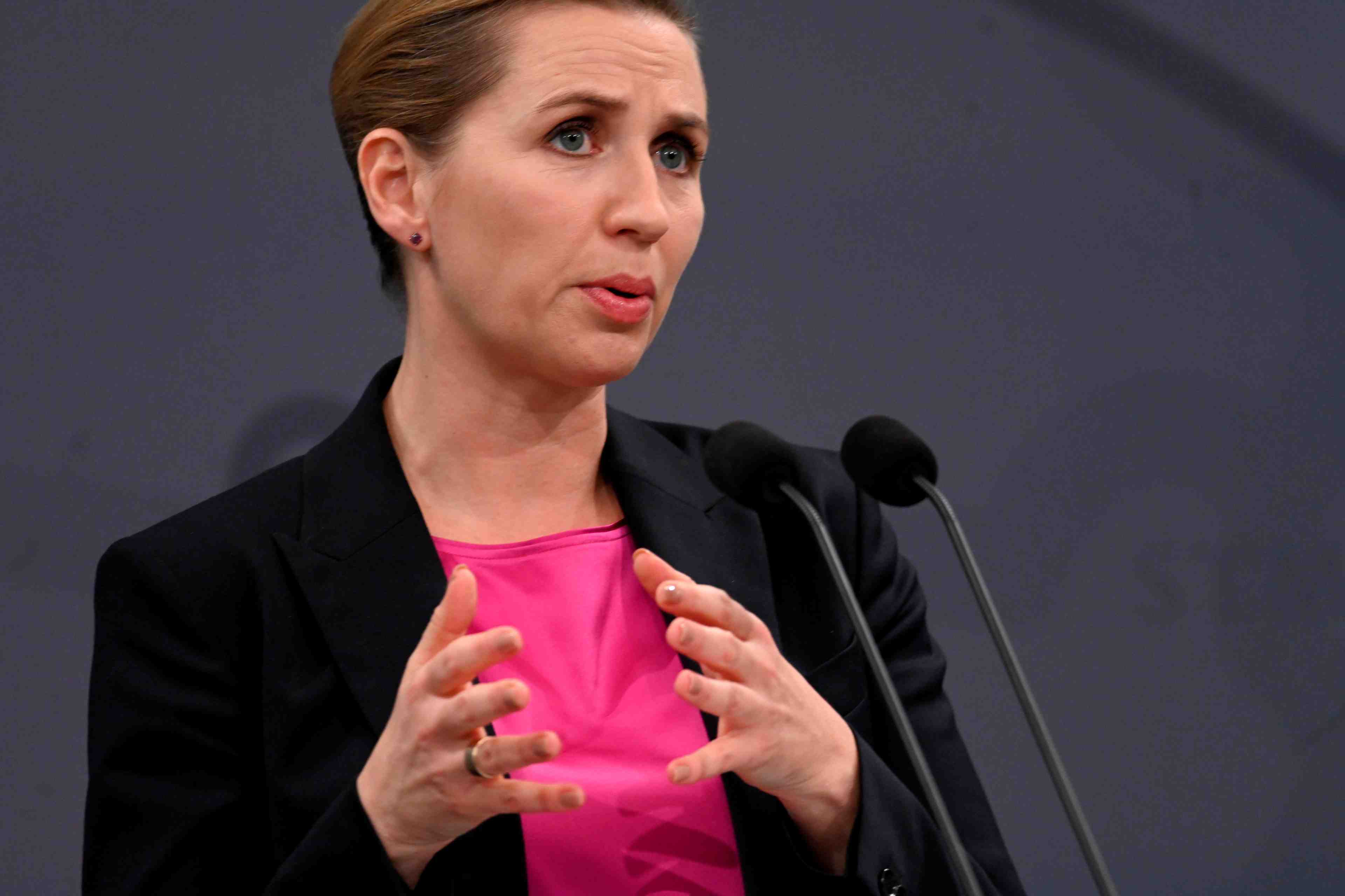 Crise politique au danemark apres l'abattage de visons contamines