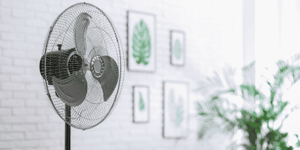 Photo d'illustration