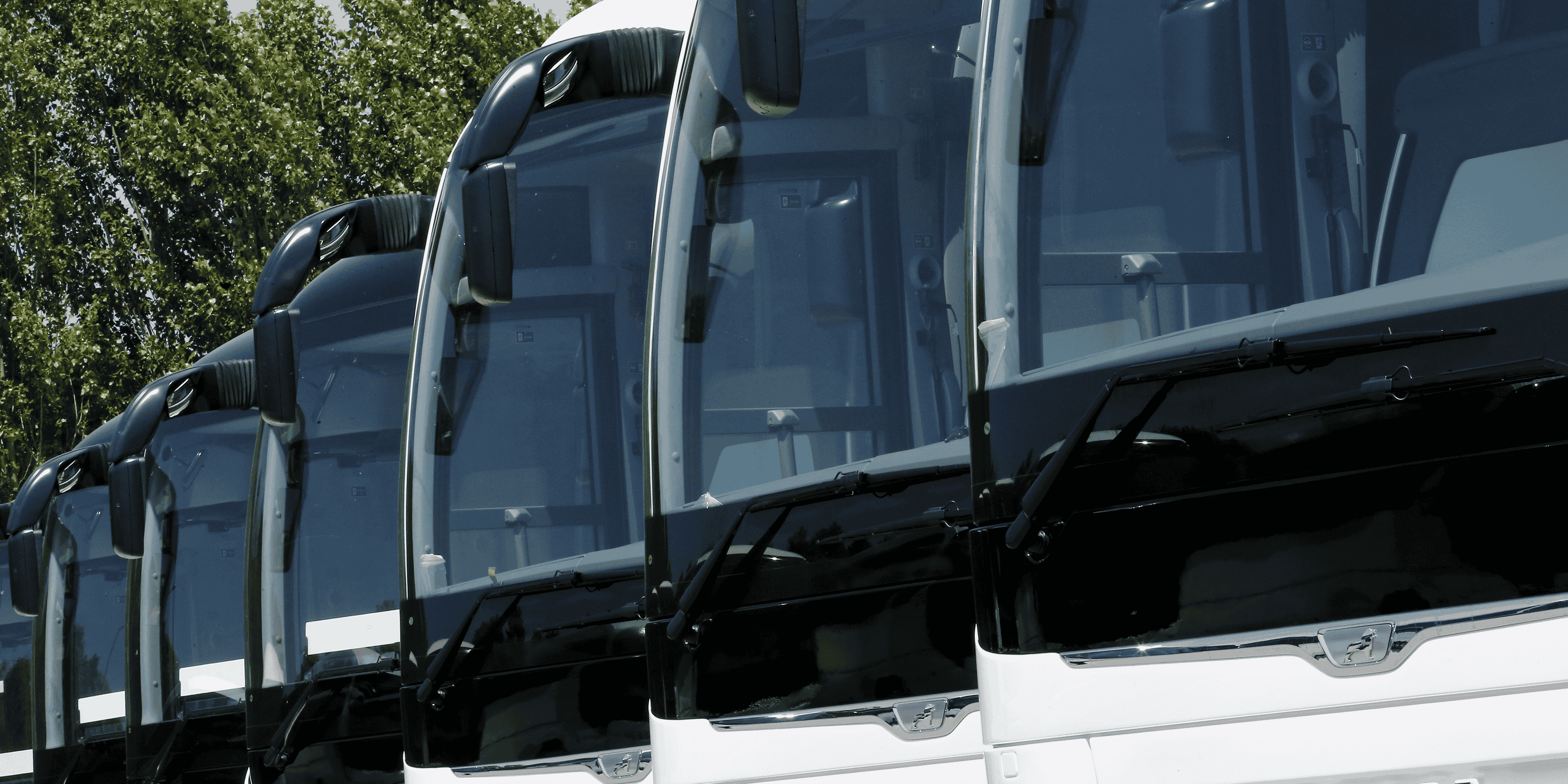 Autobus