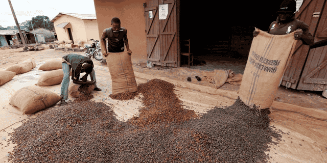 Ghana cacao