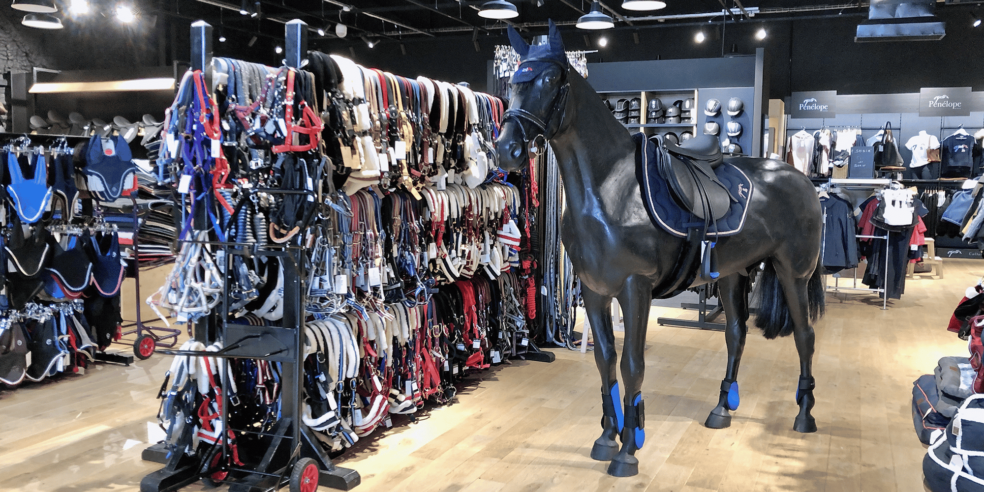 Padd magasin d'équitation