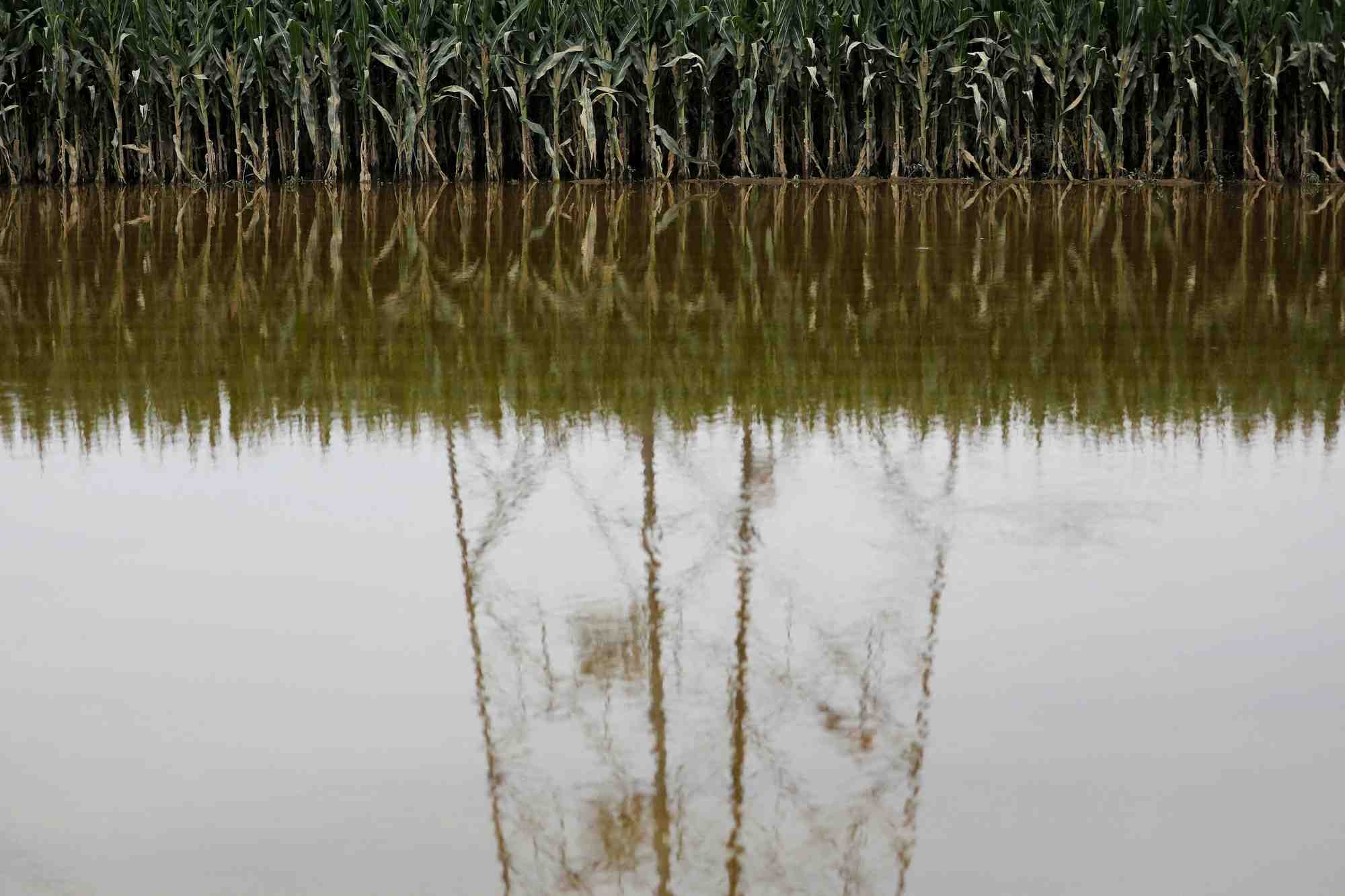 Consequences des inondations a zhuozhou, province de hebei