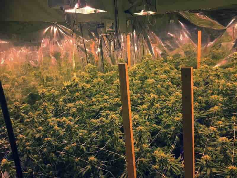 Saisie d'1,7 tonne de cannabis a la frontiere franco-espagnole