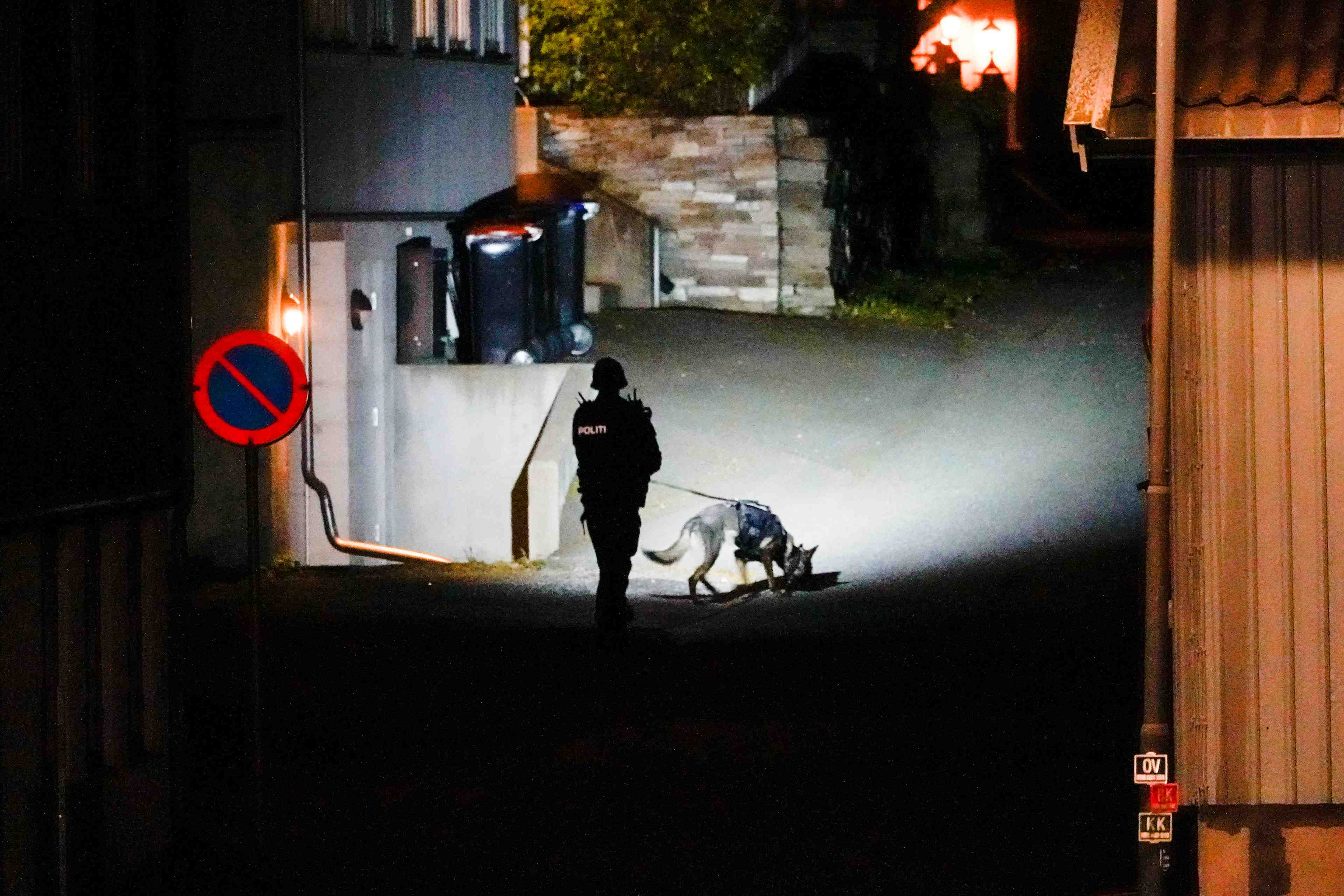 Le suspect de l'attaque en norvege est converti a l'islam, selon la police