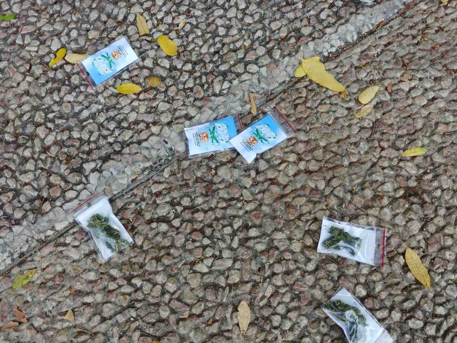 Israel: un drone largue du cannabis au dessus de tel aviv