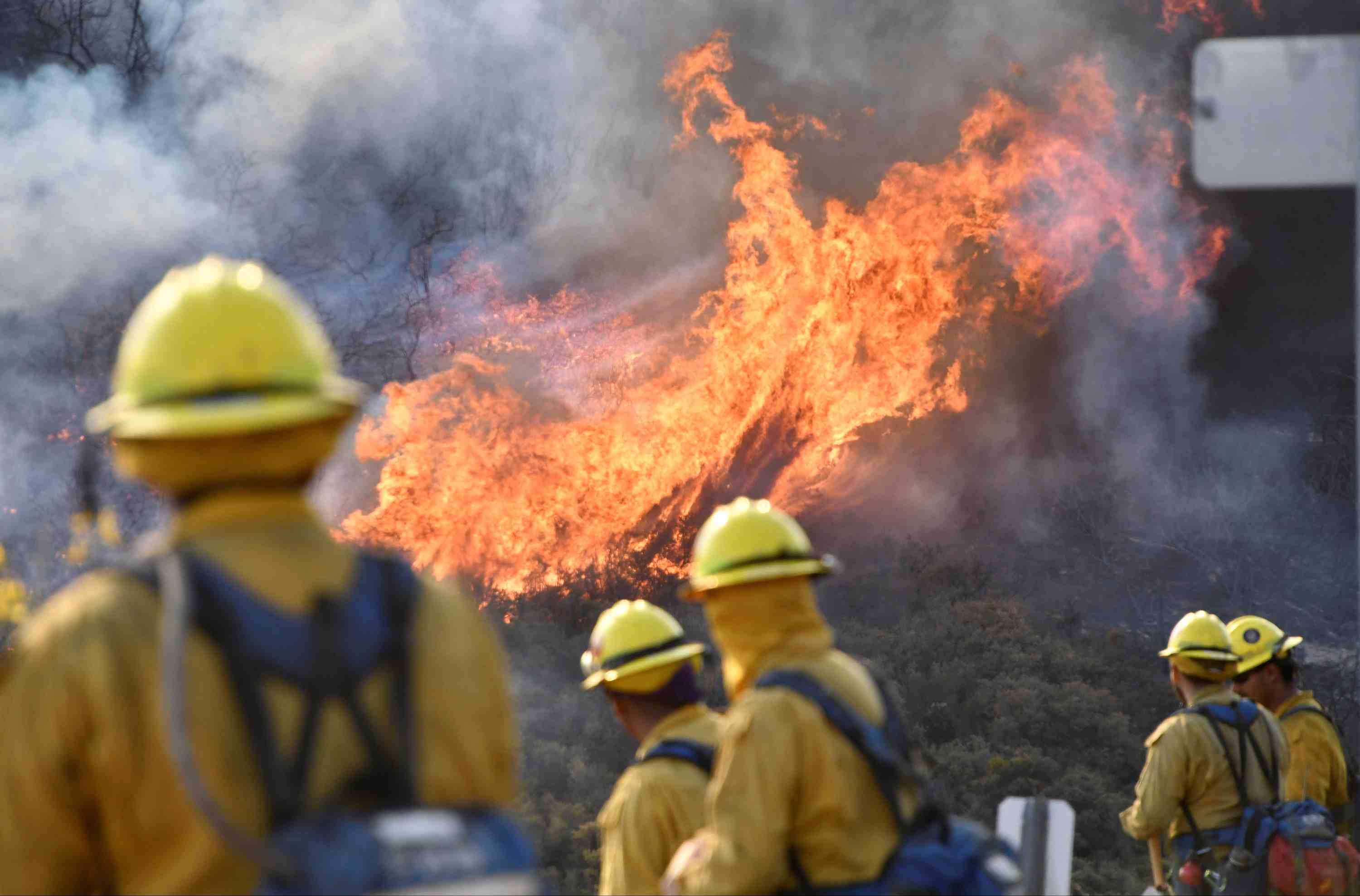 Accalmie sur le front des incendies en californie