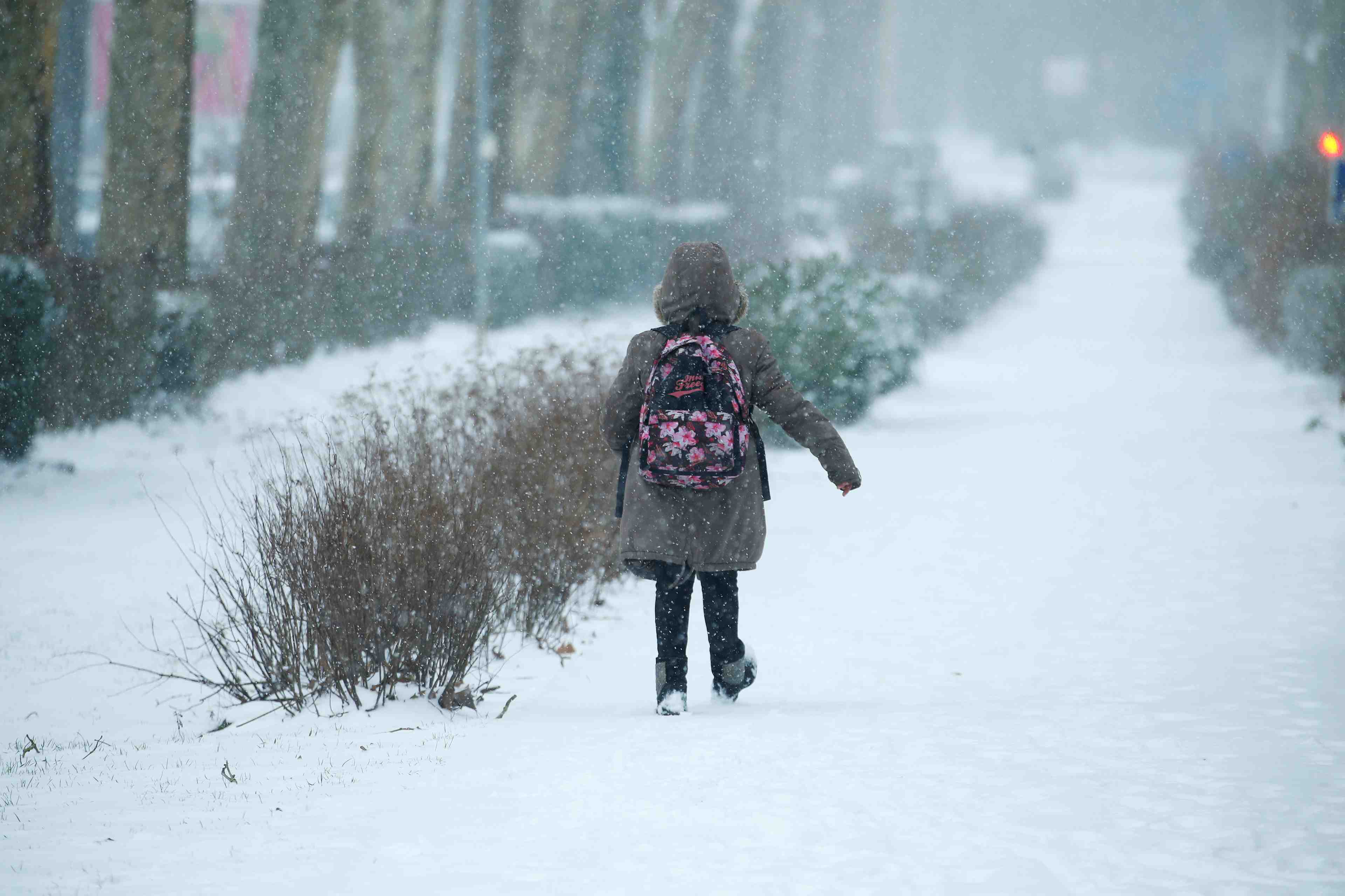 La loi sur l'ecole arrive a l'assemblee