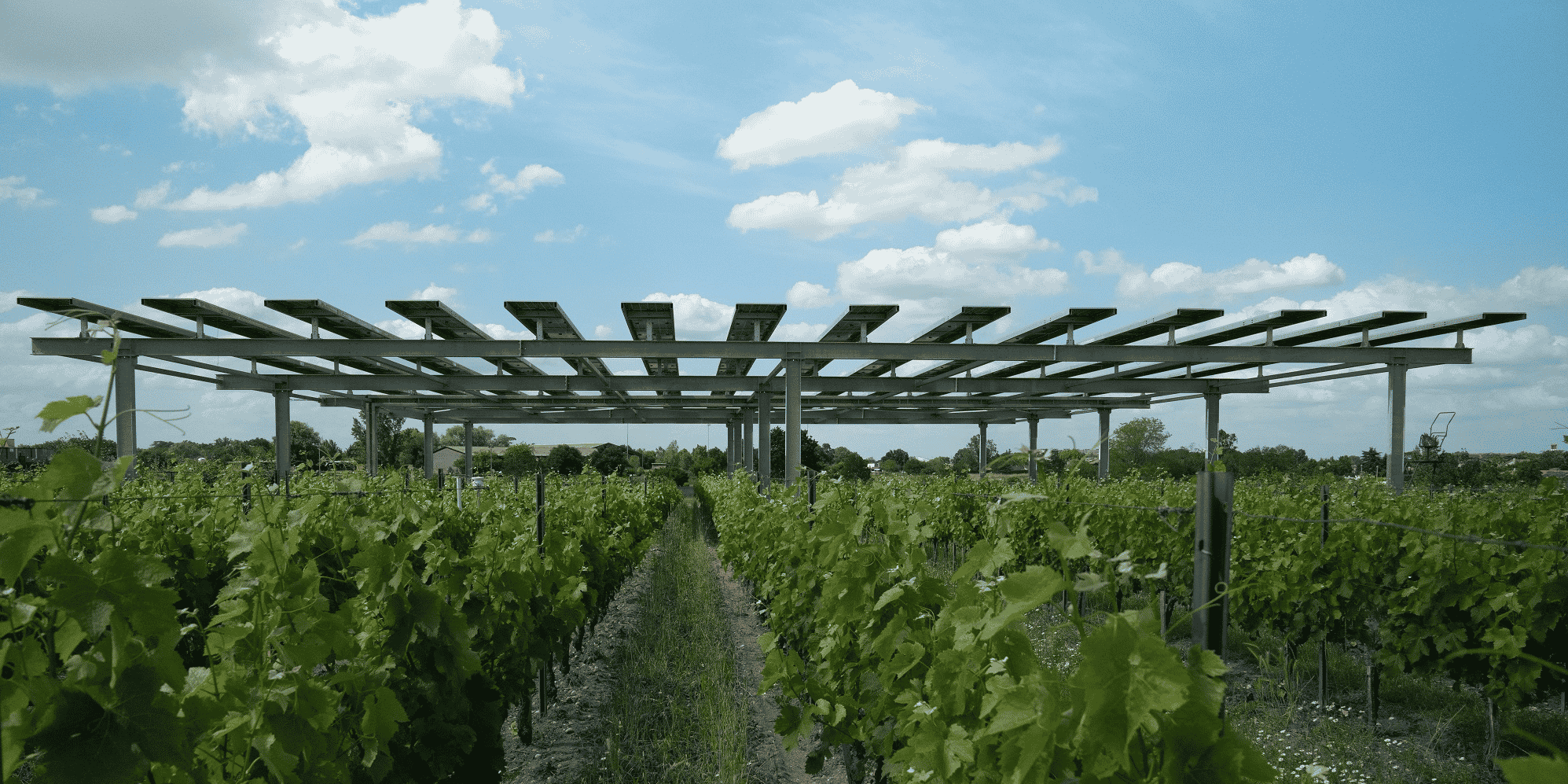 A Villenave-d'Ornon, le démonstrateur Vitisolar évalue l'impact des panneaux solaires sur la culture de la vigne.