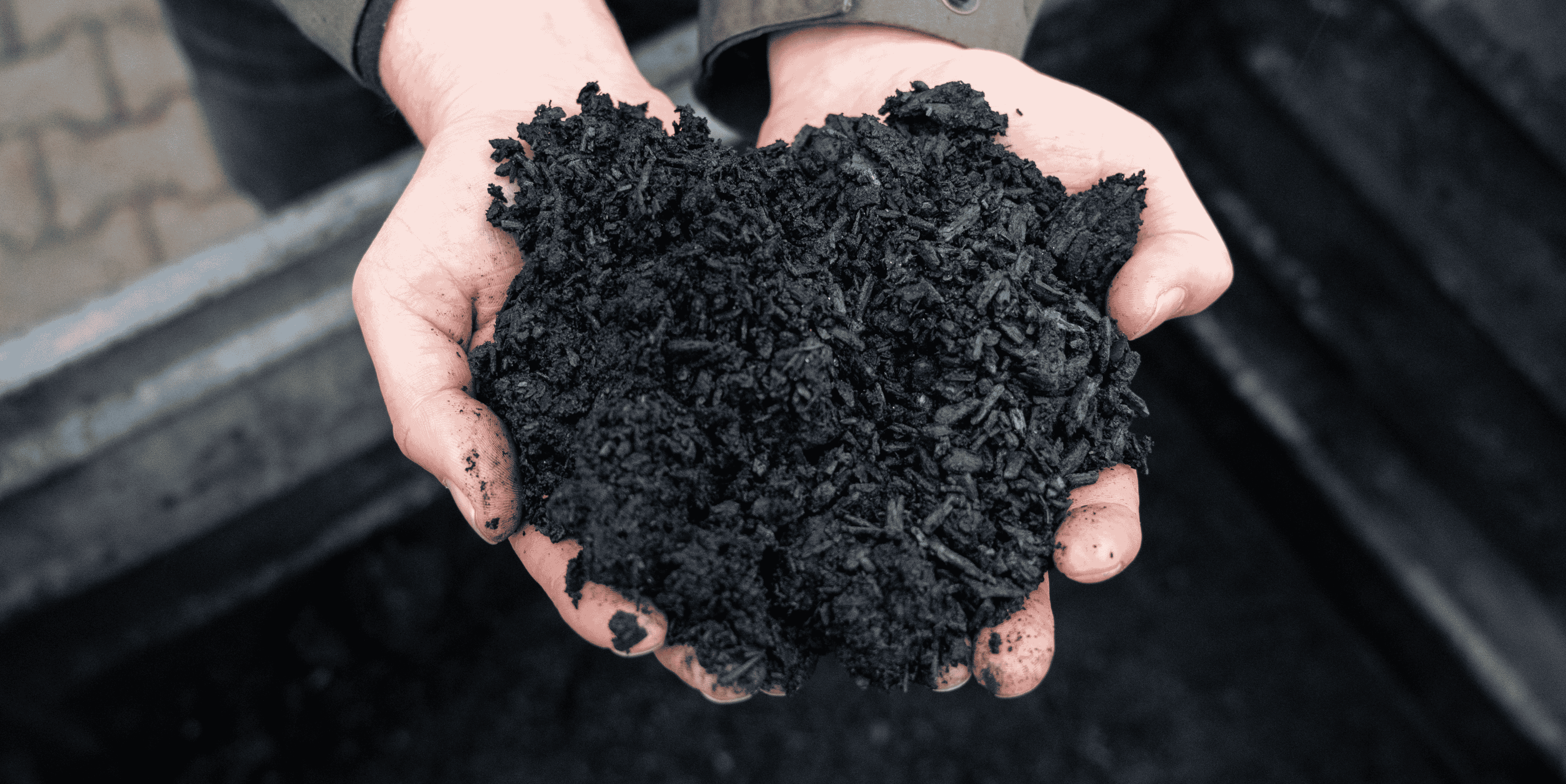biochar