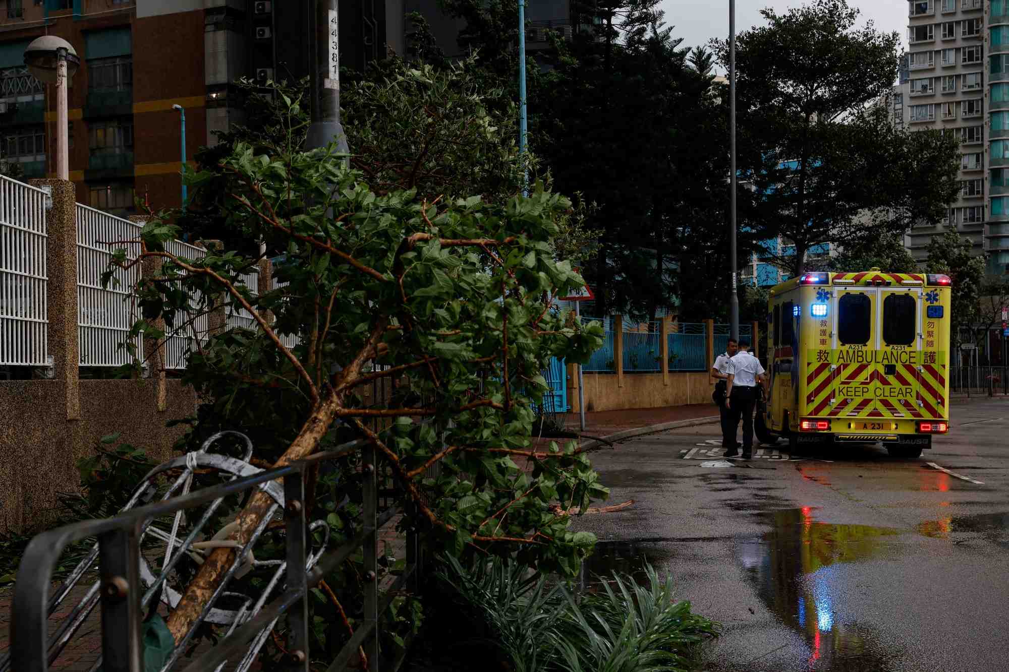 Des secouristes marchent pres d'arbres tombes apres le passage du typhon saola, a hong kong