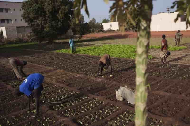 L'Union européenne reprend le versement de son aide au Mali